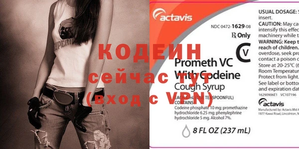 apvp Снежинск